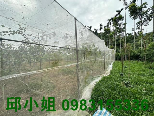 竹崎農地-4