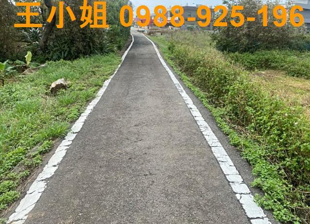 桃園新屋農地-2