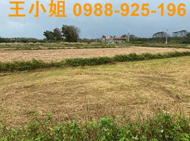 桃園新屋農地-4