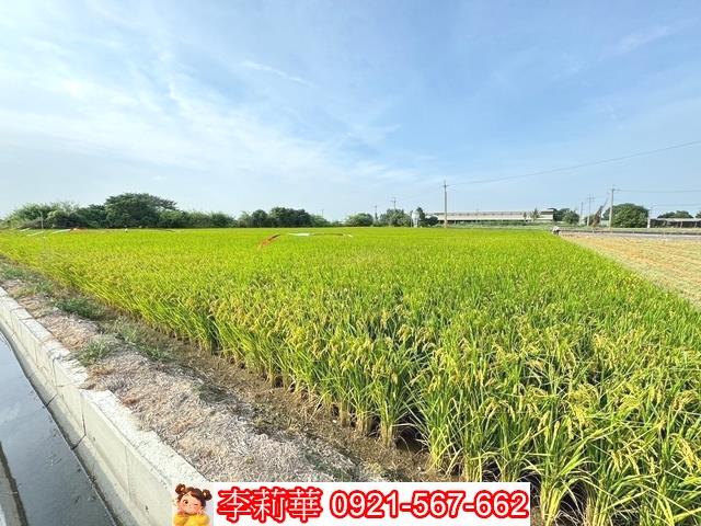 台南六甲農地-10