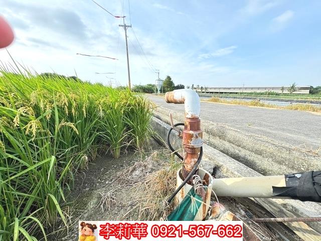 台南六甲農地-11