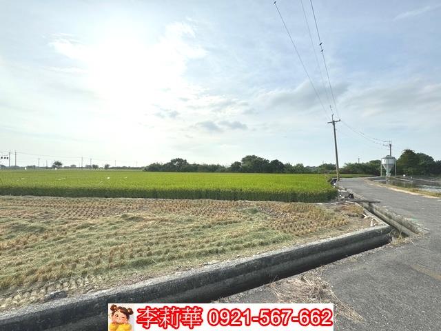 台南六甲農地-2