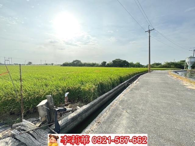 台南六甲農地-4