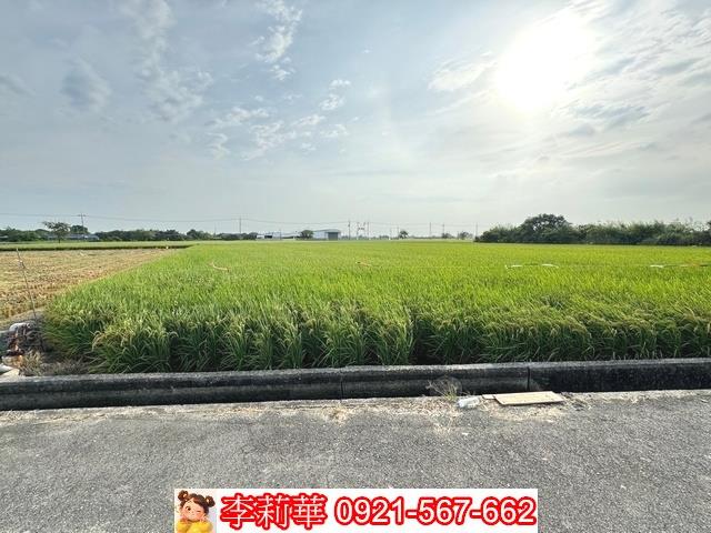 台南六甲農地-5