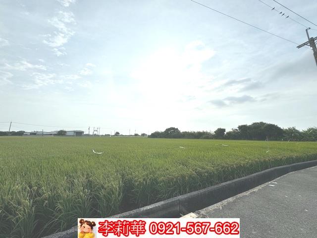 台南六甲農地-6