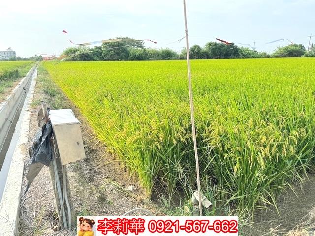 台南六甲農地-7