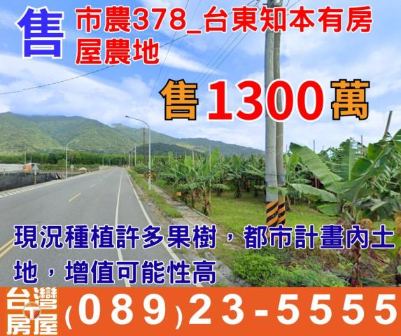 台東市農地-0
