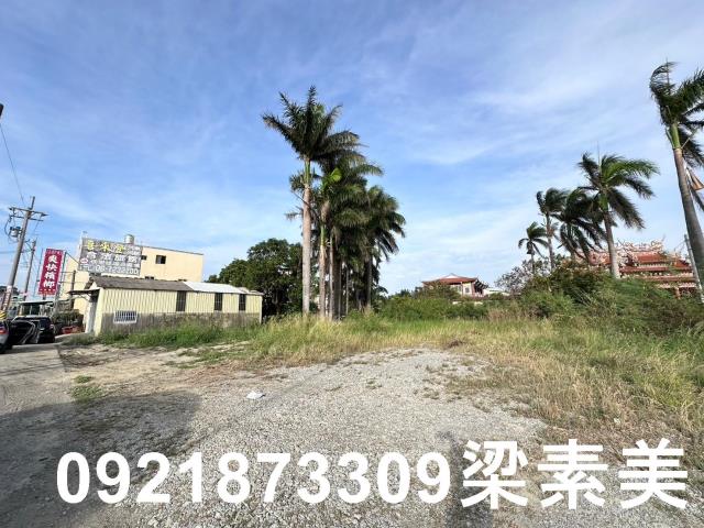 台南農地-1