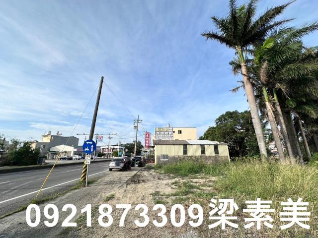 台南農地-6