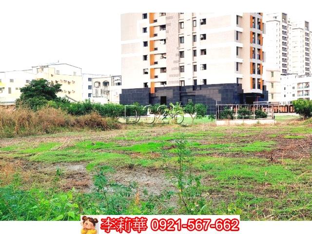 新市農地-3