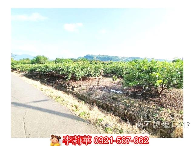玉井農地-10
