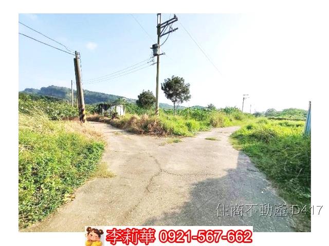 玉井農地-5
