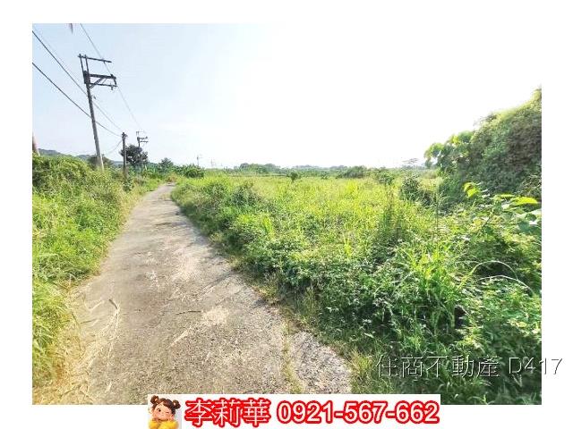 玉井農地-6