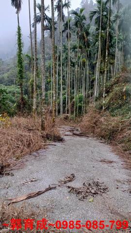 中埔農地-0