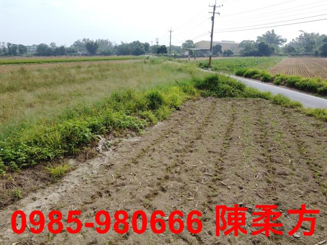 嘉義西區農地-0