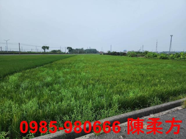 嘉義民雄農地-5