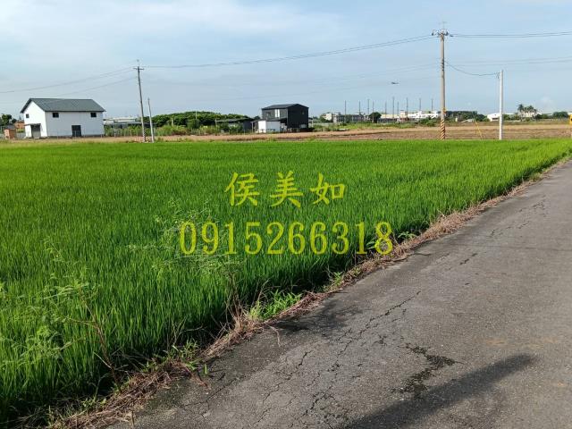 嘉義農地-0