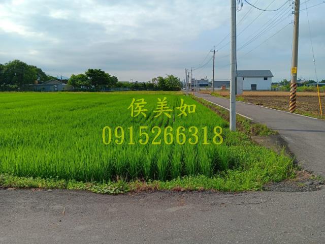 嘉義農地-1
