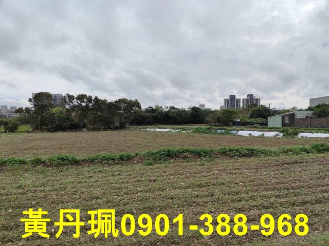 桃園大園農地-3