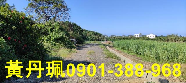 桃園大園農地-6