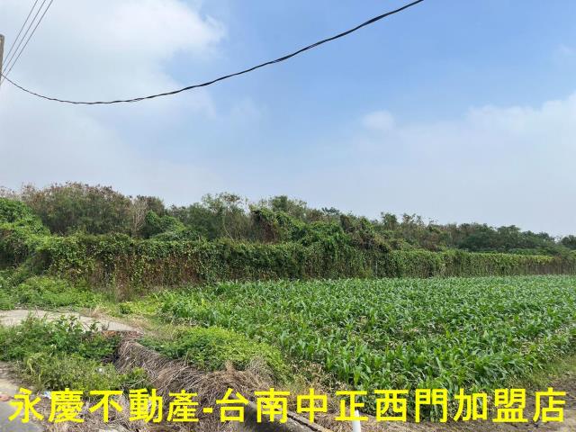 佳里農地-11