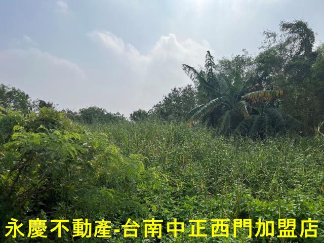 佳里農地-7
