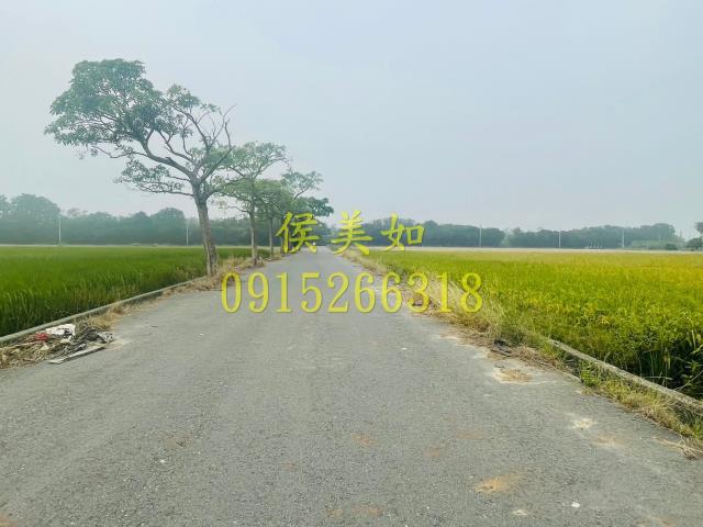 大林農地-0