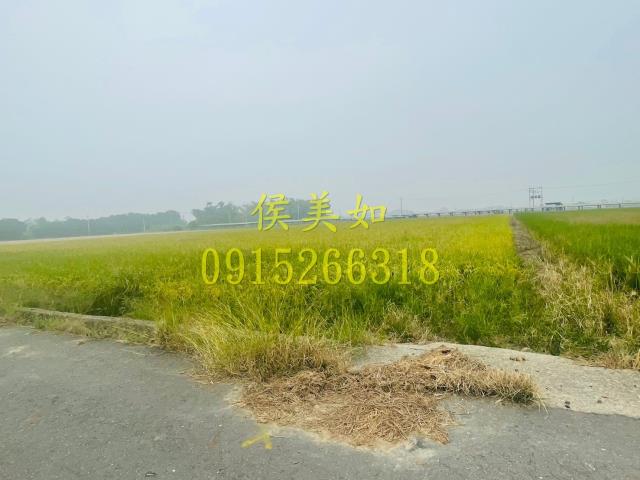 大林農地-1
