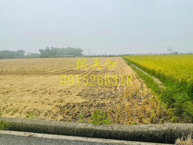 大林農地-2
