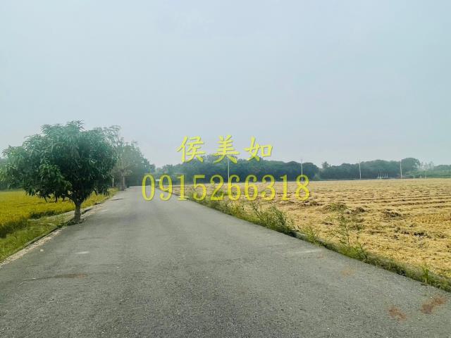 大林農地-3