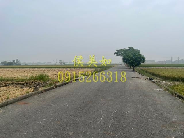 大林農地-5