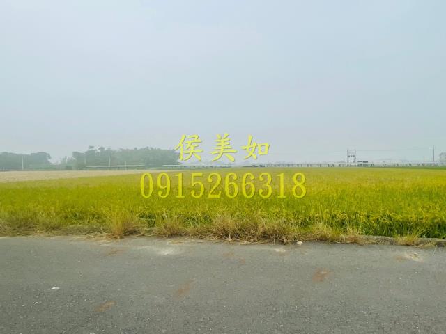大林農地-8