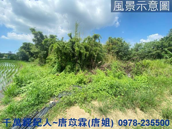 竹東農地-0
