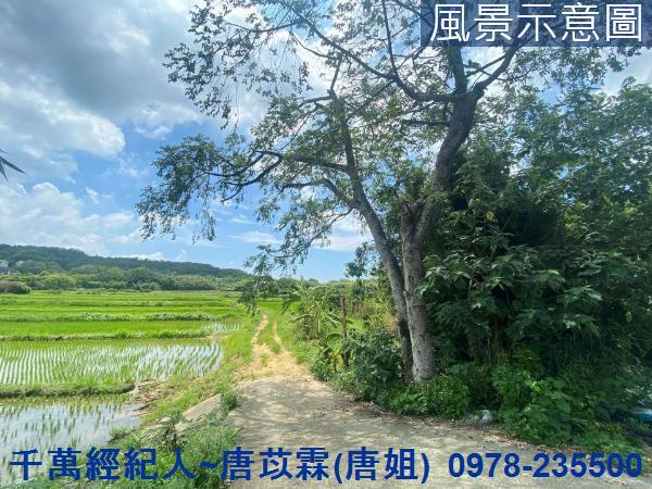 竹東農地-1