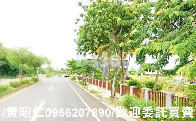 台南仁德農地-8