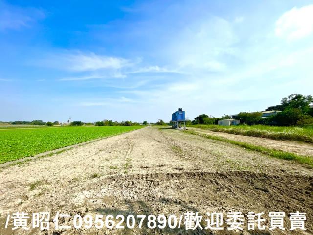 台南安定農地-4