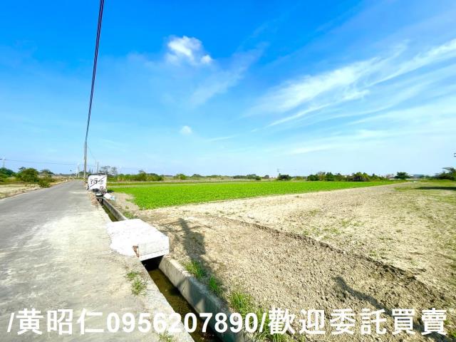 台南安定農地-5