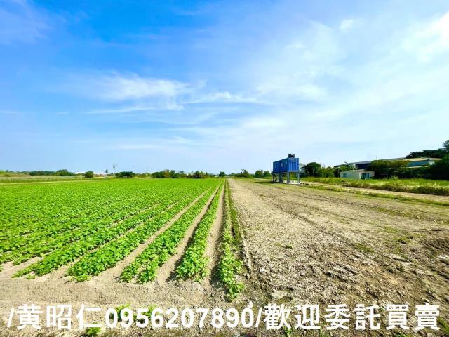 台南安定農地-7