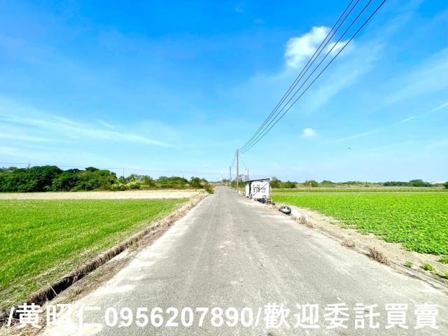 台南安定農地-8