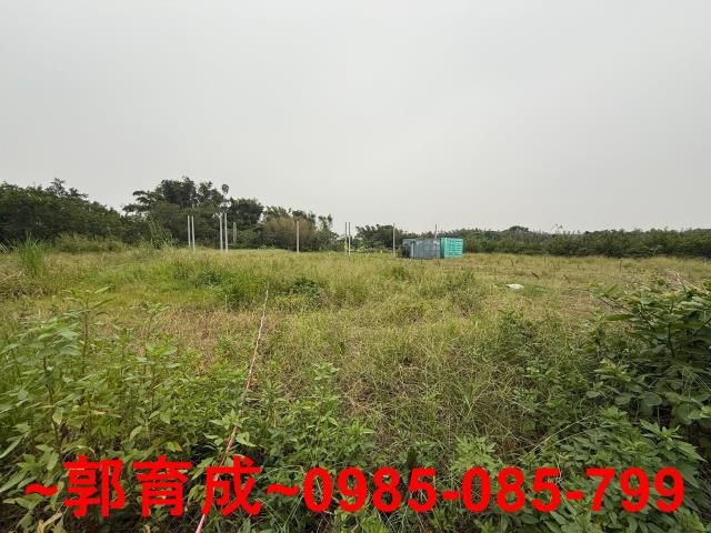 中埔農地-3