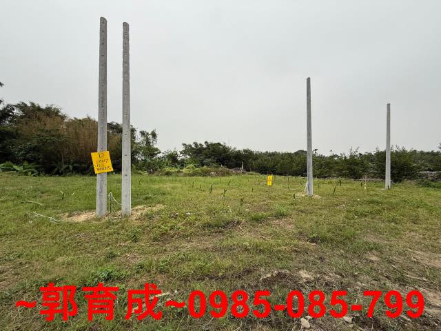 中埔農地-4