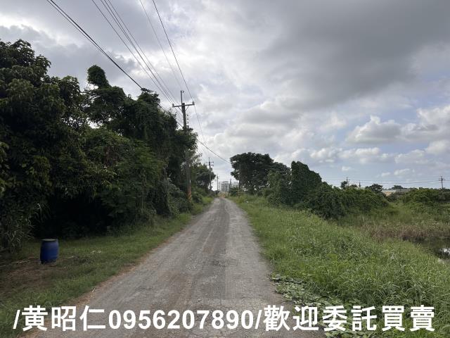 新市農地-5