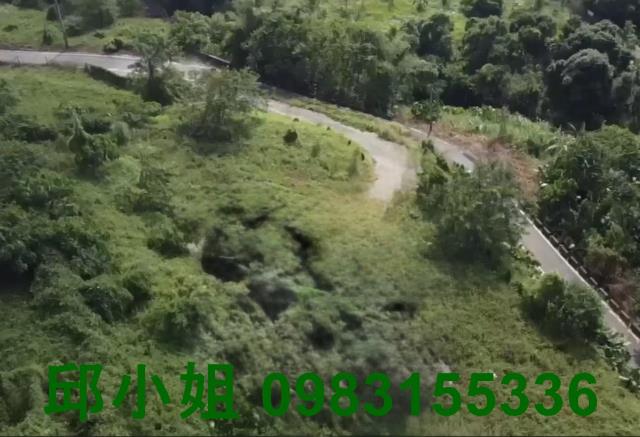 竹崎農地-1