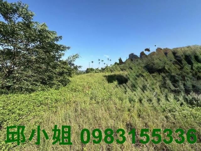 竹崎農地-2