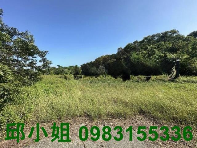 竹崎農地-4
