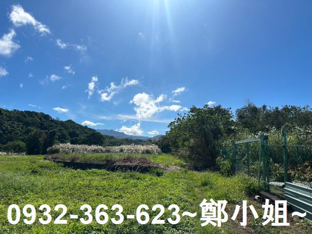 桃園農地-7