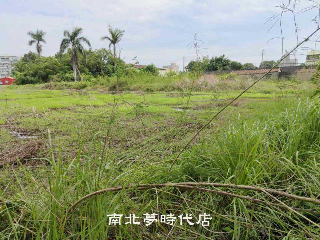 台南新市農地-12