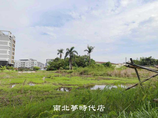 台南新市農地-14