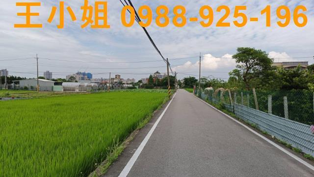 蘆竹農地-4
