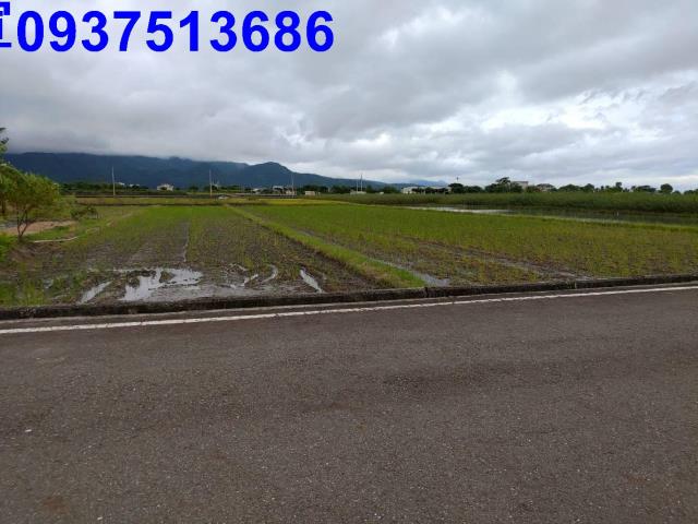 宜蘭三星農地-14